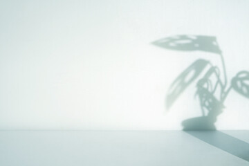 Poster - interior of office room with houseplants shadow