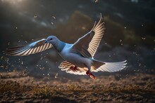 Flying Birds In Flight Generated By AI Technology