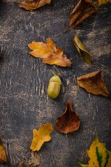 Wall Mural - Autumn background with dry leaves.