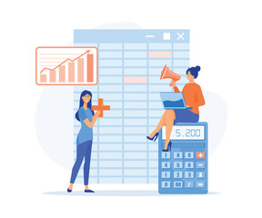 Poster - company bookkeeping report by accountants, software for accounting with sheet, formula, calculators.
