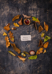 Wall Mural - Autumn background with dry leaves.