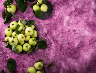 Fresh ripe green apple in purple background.