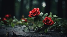 Wild Red Rose Bush Thriving In A Old Gothic Cemetery Near Ruined And Overgrown Graveyard Tombstones, Deep Dark Forest Background, Romance Lost But Love Is Eternal. 