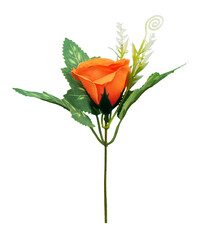 Wall Mural - orange rose with leaf isolated