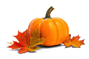 Wall Mural - pumpkin with maple leaves, png file of isolated cutout object with shadow on transparent background.
