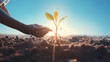 shot of pair of hands planting a plant into a soil with sun shinning and clear blue sky, ultra realistic. Generative Ai