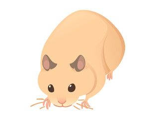 Wall Mural - Light brown hamster cute cartoon animal design vector illustration isolated on white background