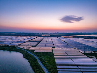 Wall Mural - Aerial photography of solar panels