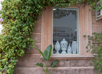 Wall Mural - Pottery displayed in a window with ivy growing around it in Europe