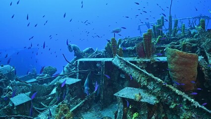 Wall Mural - Fish and marine life thrive amongst the wreckage of a sunken ship in Cayman Brac. The Russian vessel was sunk deliberately to promote such bustling underwater life.