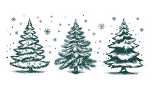Christmas Tree Hand Drawn Illustration	
