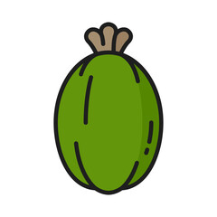 Sticker - Green feijoa raw fruit isolated color line icon. Exotic brazilian feijoa tropical fruit, tropical food snack. Whole ripe fruit outline sign