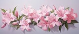 Two different grade pink azaleas bloom in a flower garden with a notable backdrop isolated pastel background Copy space