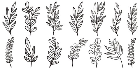 Hand drawn leaf line illustration doodles style.