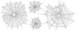 © sense - Vector Set of spider web on white
