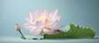 The Lotus Flower and its leaf in the background isolated pastel background Copy space
