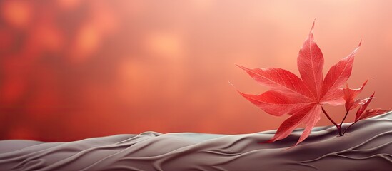 Poster - Detailed macro closeup of vivid red leaf surrounded by vines providing an astounding and captivating view isolated pastel background Copy space