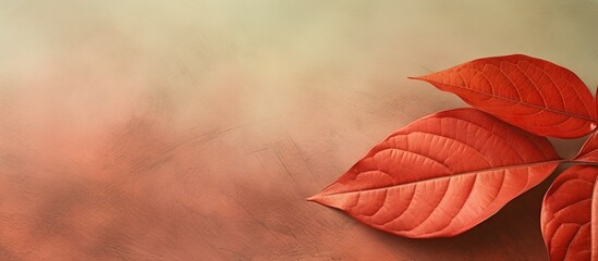 Poster - Detailed macro closeup of vivid red leaf surrounded by vines providing an astounding and captivating view isolated pastel background Copy space