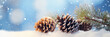 Christmas snowy winter holiday celebration greeting card - Closeup of pine branch with pine cones and snow, defocused blurred background with blue sky, bokeh lights, and snowflakes