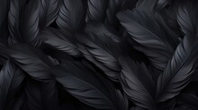 Close-up Of Black Bird Feathers Print Background. Backdrop For Fashion, Textile, Print, Banner
