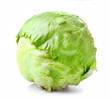 Green Iceberg lettuce on white background