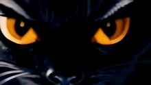 Closeup Portrait Of Black Cat With Orange Eyes. Angry Feline Looking Against Dark Background. Concept Of Fearful Halloween Night .