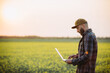© dsheremeta - Farmer holding laptop,tablet in rapeseed field, to use a fertilization log program. Plant growth, production and contact online customer.