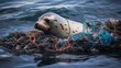 Plastic waste entangling a marine mammal