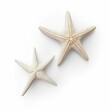 © photo_costin - Two Starfish isolated on white background.