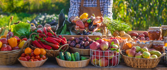 Wall Mural - The farmer sells fruits and vegetables at the farmers market. Selective focus.