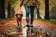 Person in a stylish raincoat and boots walking their dog in a rainy park