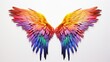 Illustration of a vibrant and colorful bird wing against a clean white background