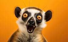 Lemur Catta Portrait With Surprised Expression On Isolated Yellow Background, Generative Ai
