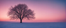 Winter Wallpaper. A Tree Standing Alone On A Snowy Field Against A Pink Frosty Sunset Sky. Beautiful Winter Nature Scene.	