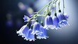 Beautiful bluebell flowers. Close-up of a сampanula branch. Natural background. Illustration for cover, card, postcard, interior design, decor or print.