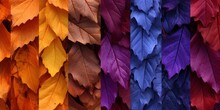 Autumn Leaves Blanketing The Ground In A Kaleidoscope Of Colors, Crafted In The Style Of Dark Violet, Orange, Light Crimson, And Azure, Showcasing Seasonal Natural Beauty