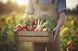 A farmer proudly displays a box of freshly harvested vegetables from his sustainable and environmentally friendly garden, the benefits of fresh and seasonal food. Vegan and vegetarian food,harvest 