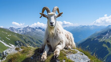 A Billy Goat In The Alps On A Mountain. Ai Generative