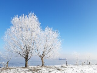 Poster - River Elbe and surrounding snowy landscapes