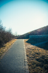 Wall Mural - Beautiful shot of a road in a park on a sunny day