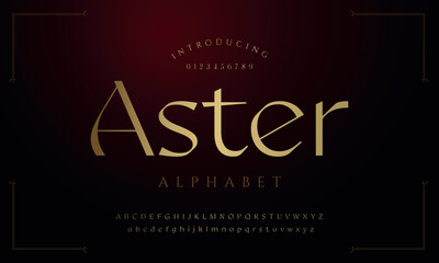 Wall Mural - Aster , the luxury type elegant font and glamour alphabet vector set
