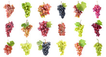 Set Of Many Different Grapes On White Background