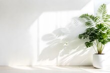 Plant In A Vase With White Background, A Large Plant In A White Pot With A Green Leafy Plant In Front Of A White Wall. 