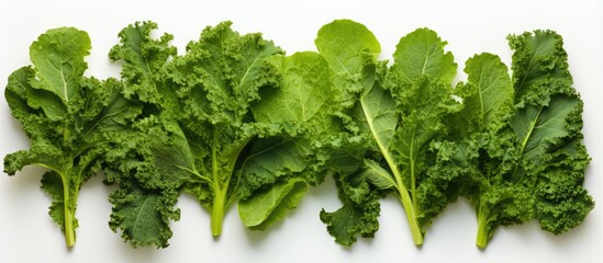 Wall Mural - Kale used creatively on white background Flat lay Food and macro concepts