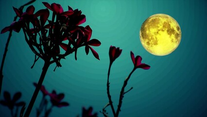 Wall Mural - Flower silhouette with Full Moon Background