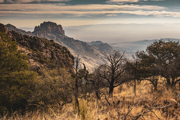 Wall Mural - Casa Grande Peak Looms Behind Yellow Grasses