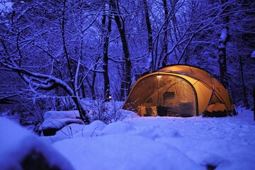 Wall Mural - camping in the forest