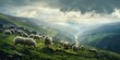 sheep are walking up a hill over cloudy terrain, in the style of the snapshot aesthetic, generative AI