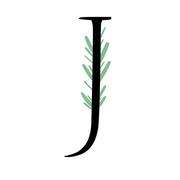 Plant Alphabet Letters Illustration