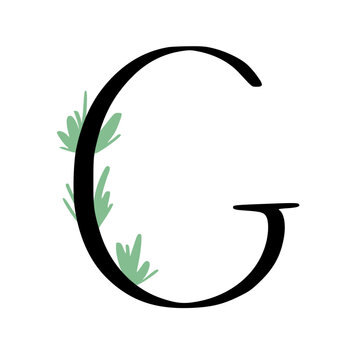Plant Alphabet Letters Illustration